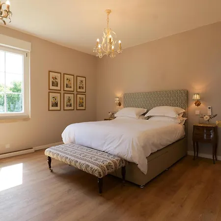 Luxury De Chateau Mirabel - Latour - With Saltwater Swimming Pool And Ac