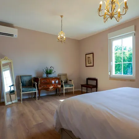 Luxury De Chateau Mirabel - Latour - With Saltwater Swimming Pool And Ac *